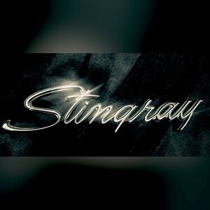 Corvette Stingray Emblems (OG) 2